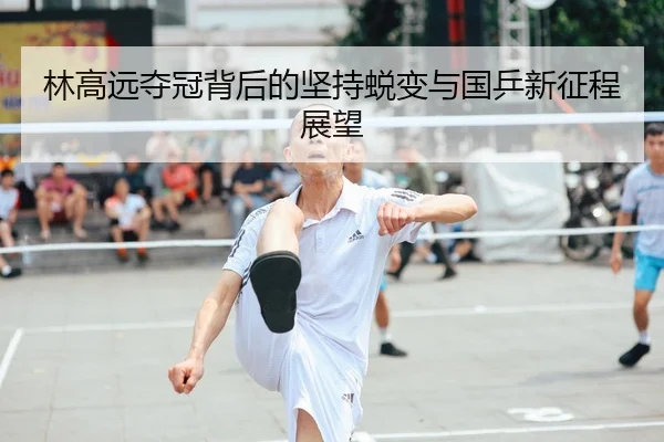 林高远夺冠背后的坚持蜕变与国乒新征程展望