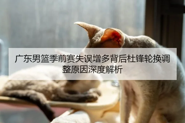 广东男篮季前赛失误增多背后杜锋轮换调整原因深度解析