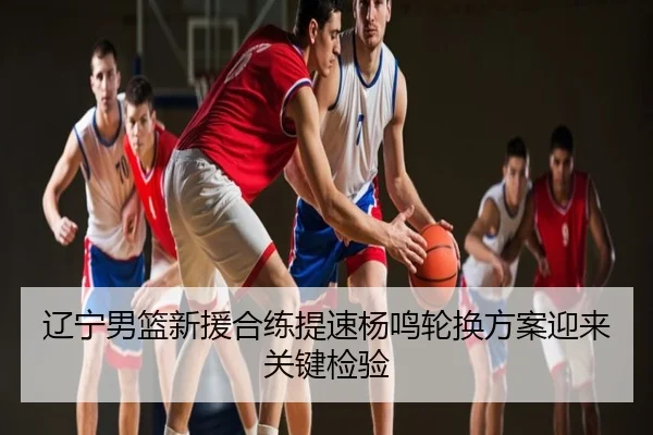 辽宁男篮新援合练提速杨鸣轮换方案迎来关键检验