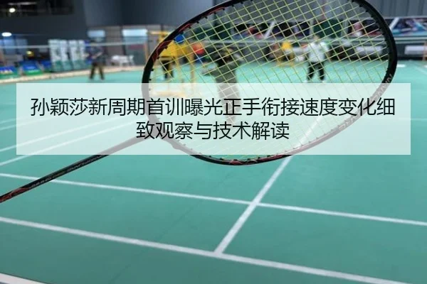 孙颖莎新周期首训曝光正手衔接速度变化细致观察与技术解读