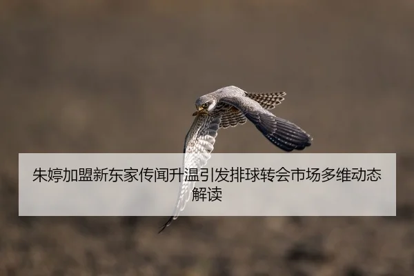 朱婷加盟新东家传闻升温引发排球转会市场多维动态解读